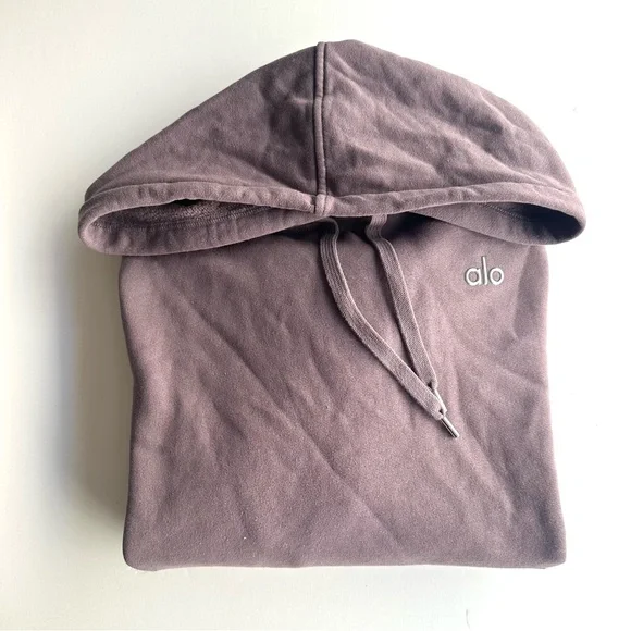 alo raisinette accolade Hoodie - Picture 2 of 3